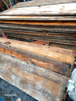 Photo - Pelawed Jiji Wood