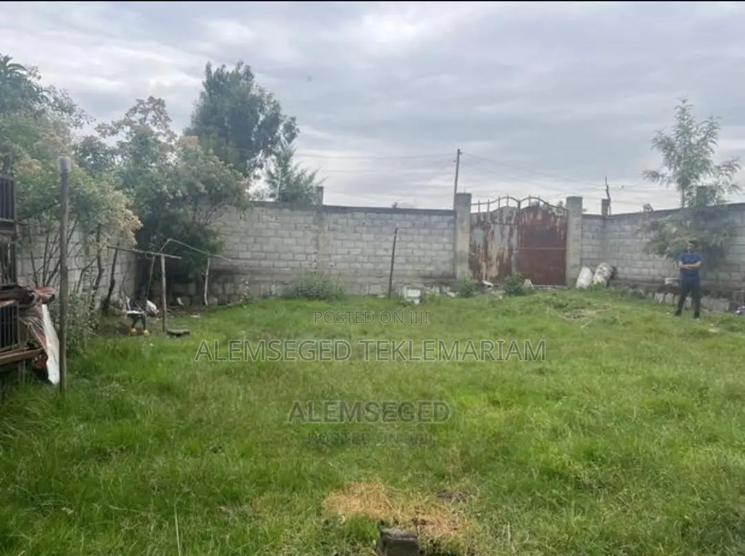 Land With Service House