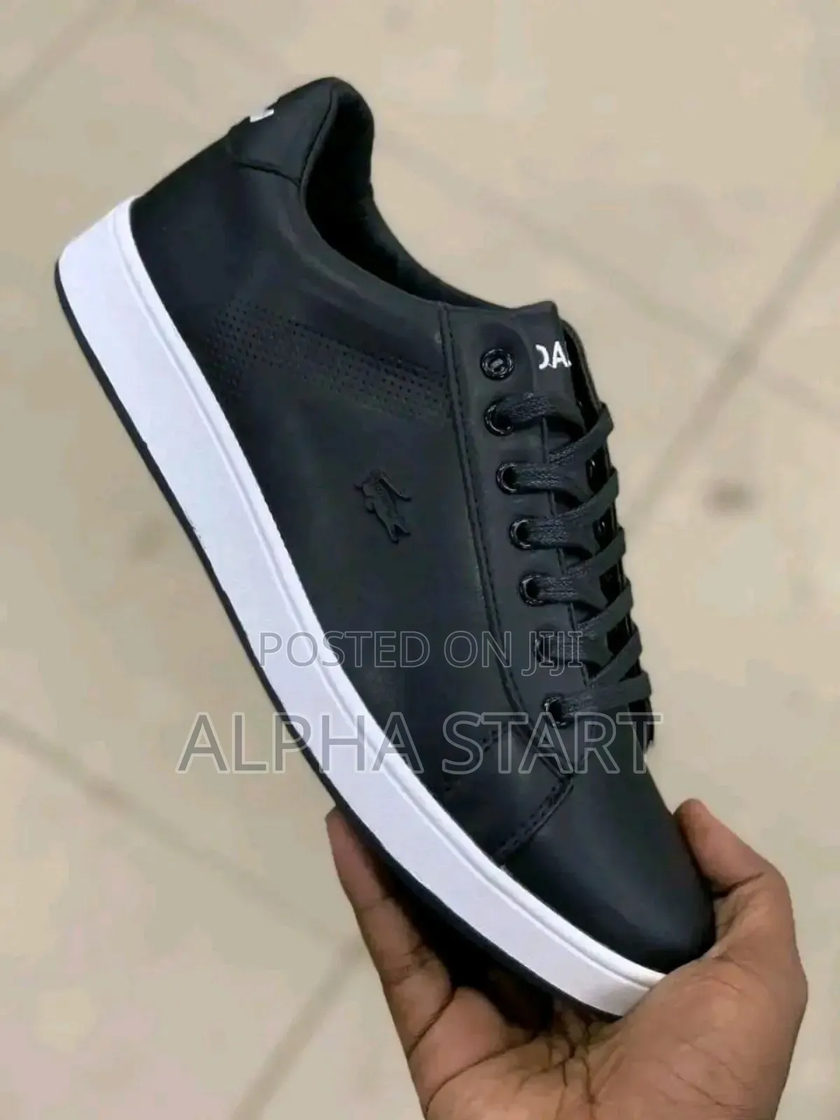 Lacoste Orginal Men's Shoe's Italy