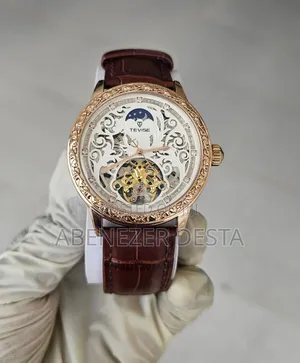 Tevise Automatic Watchs for Men's Luxury