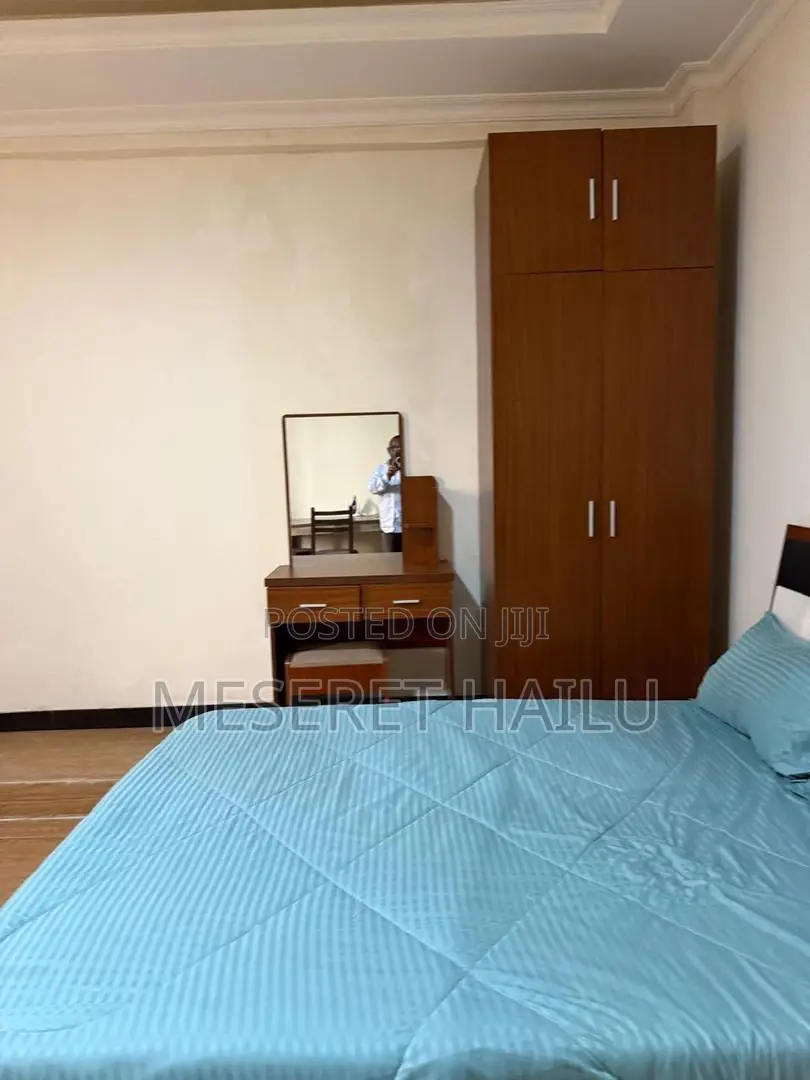 Furnished 1bdrm Apartment in Bole for rent