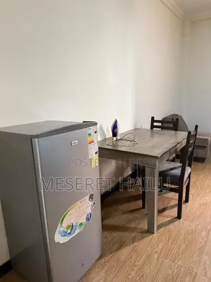 Furnished 1bdrm Apartment in Bole for rent