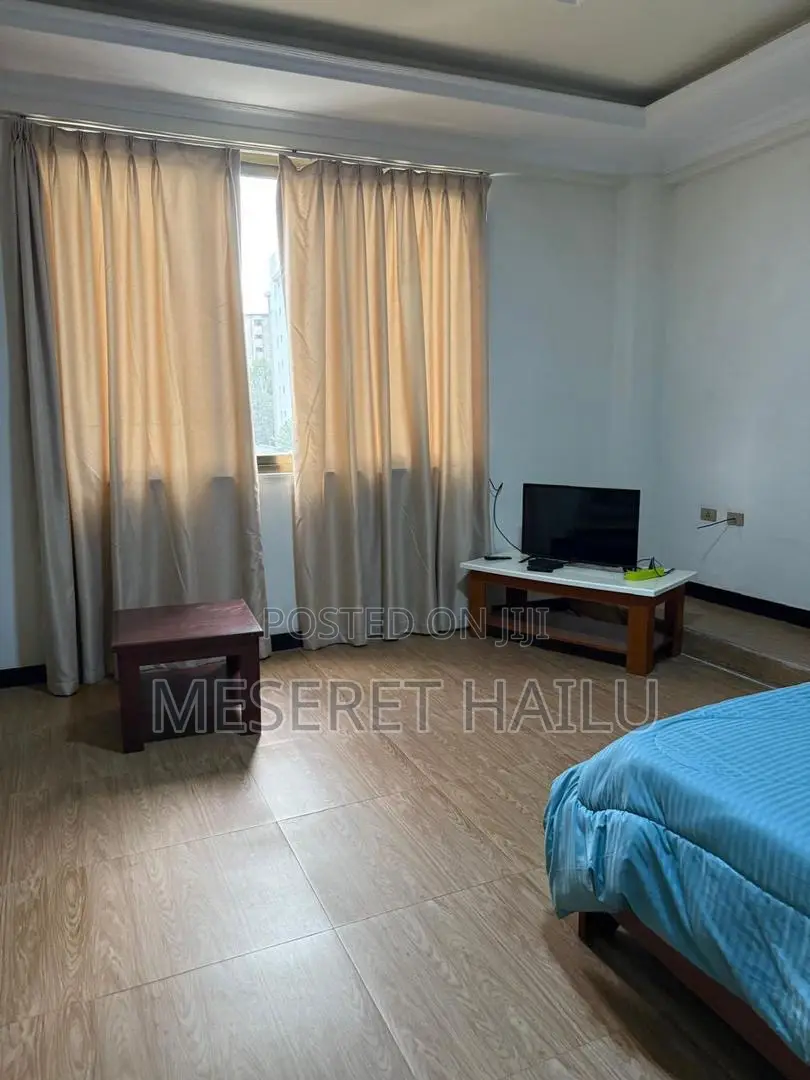 Furnished 1bdrm Apartment in Bole for rent