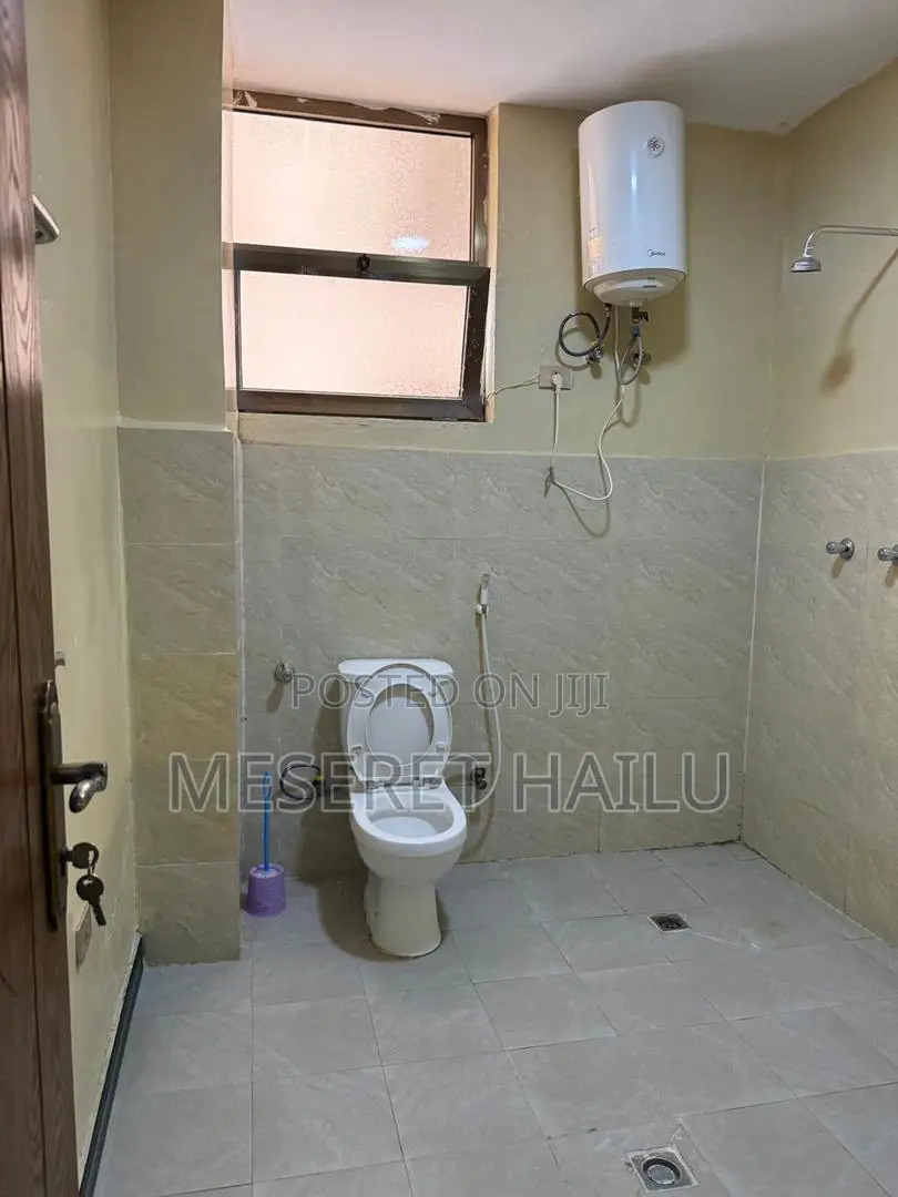 Furnished 1bdrm Apartment in Bole for rent