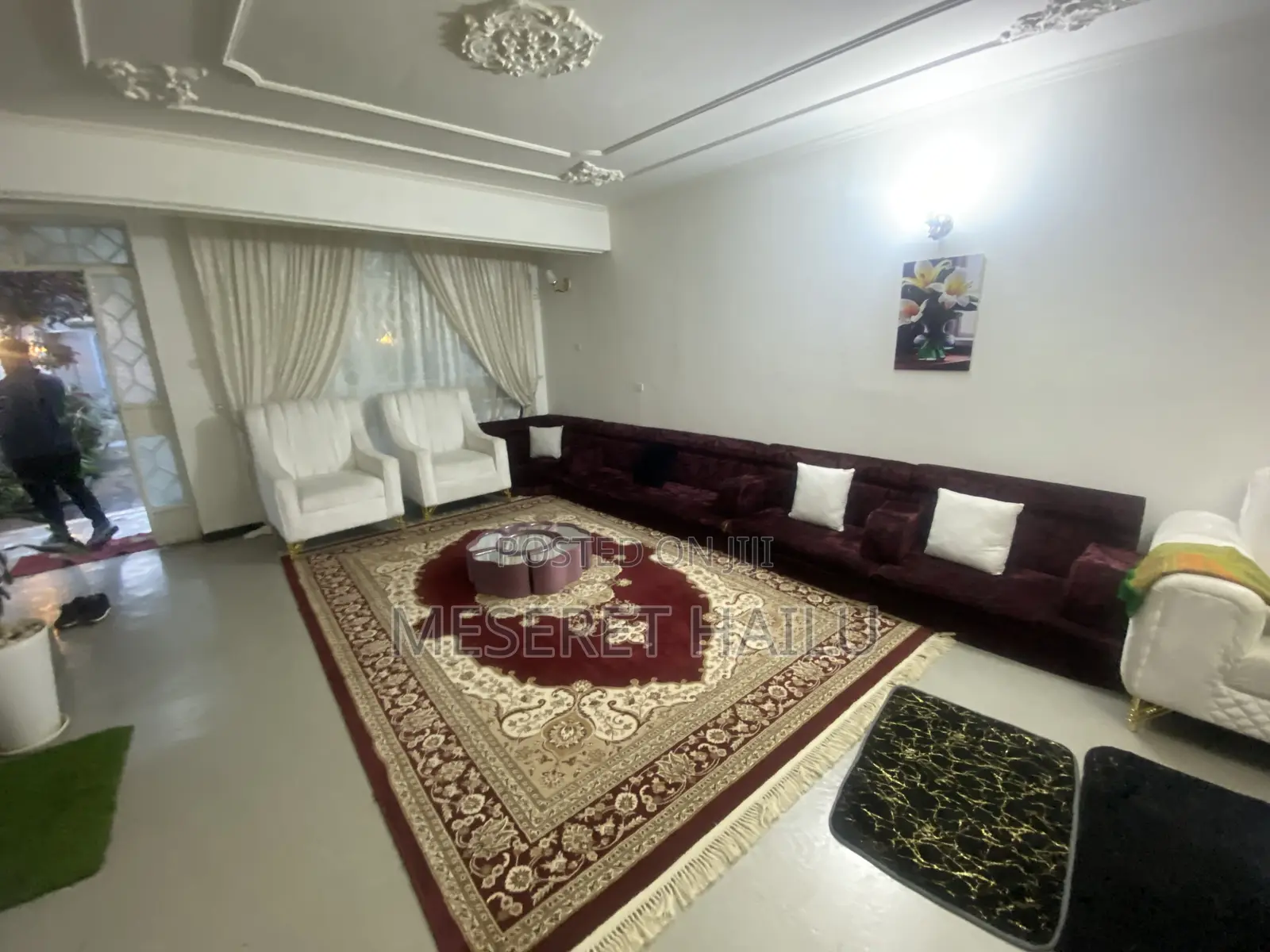 Furnished 3bdrm House in Bole Michael for rent