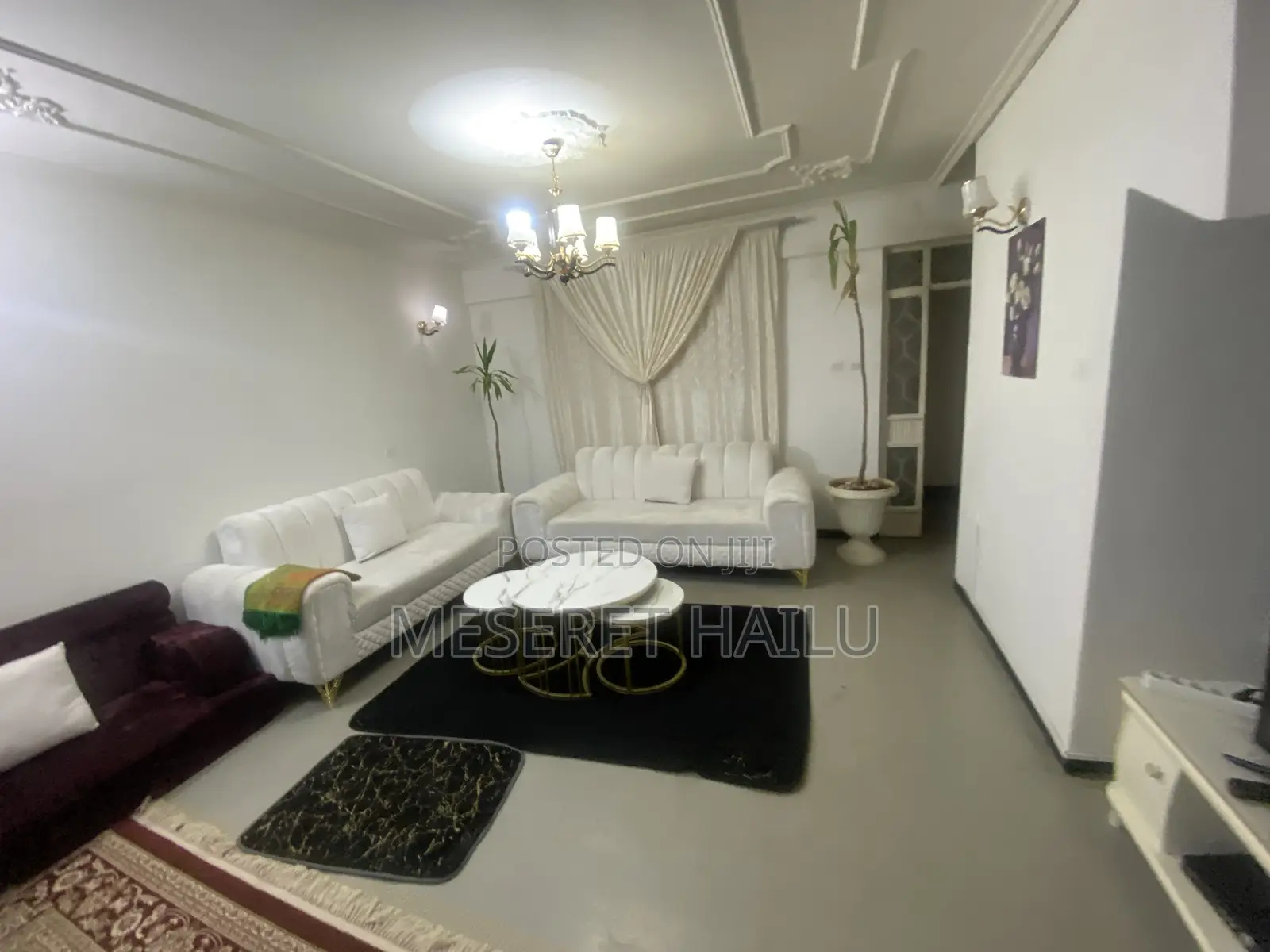 Furnished 3bdrm House in Bole Michael for rent