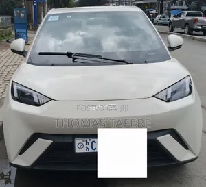 Photo - BYD Seagull 2024 White