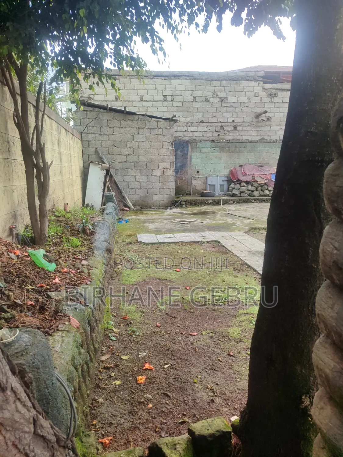 Shopping Center for Rent