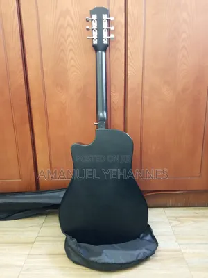 Siltron Acoustic Guitars