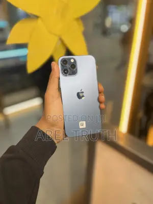 New Apple iPhone 12 Pro Max 256 GB Blue