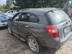 Chevrolet Captiva 2010 Gray
