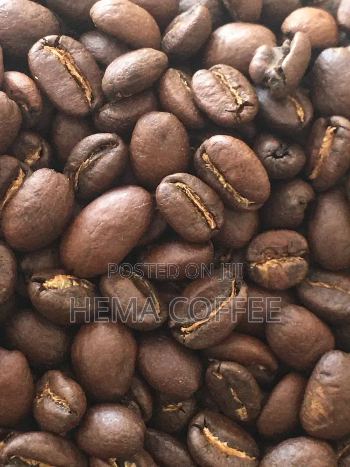 Roasted Coffee Yirgachefe , Guji , Sidama , Whole or Ground )