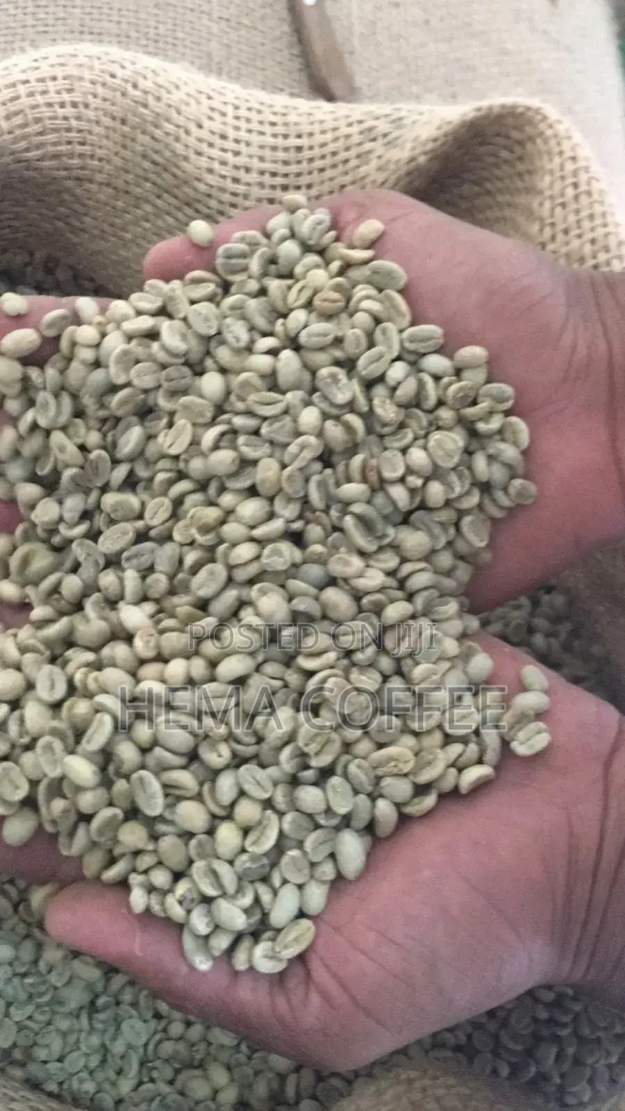 Roasted Coffee Yirgachefe , Guji , Sidama , Whole or Ground )