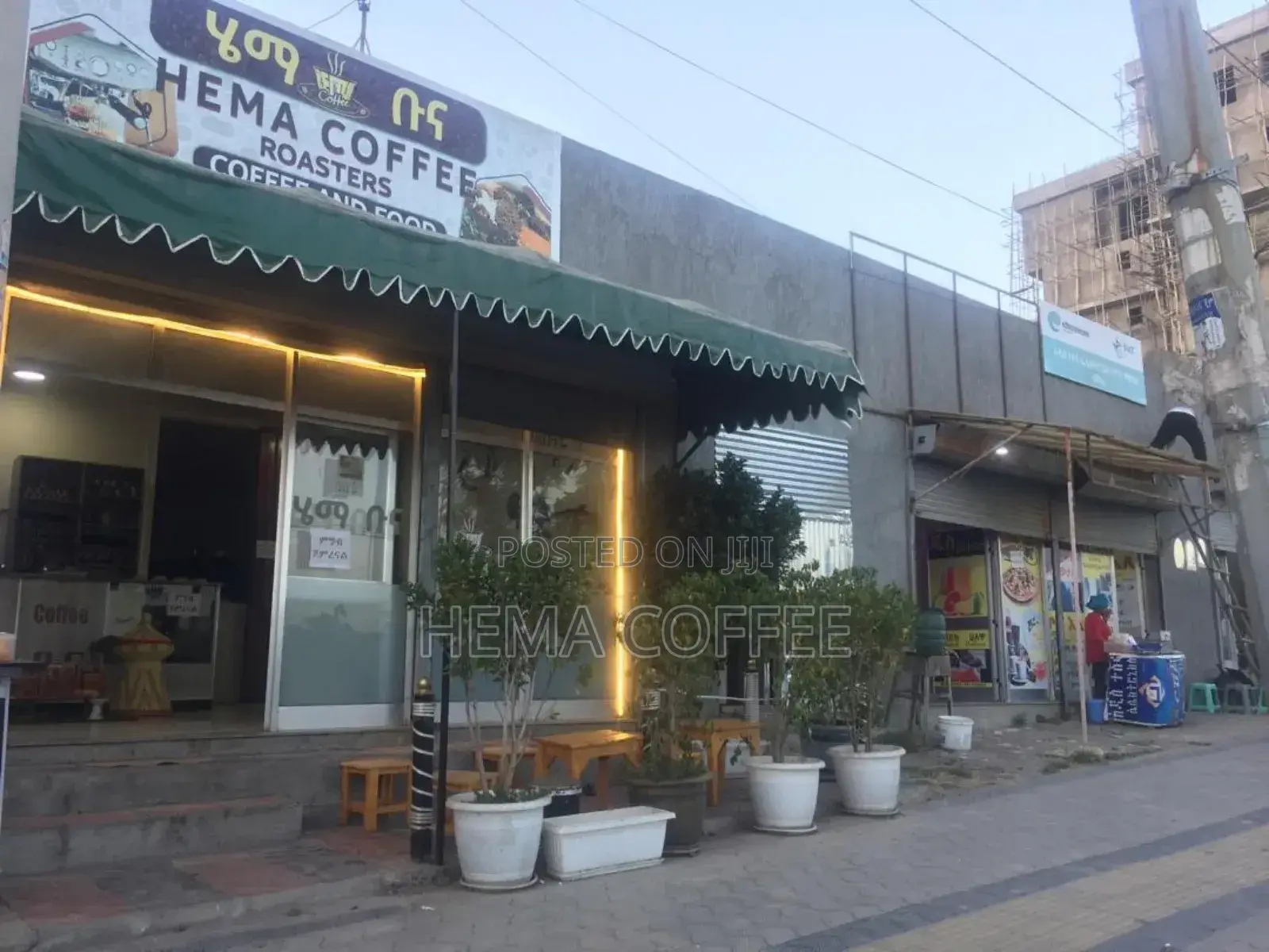 Roasted Coffee Yirgachefe , Guji , Sidama , Whole or Ground )