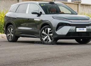 New BYD Tang EV 2025 Gray