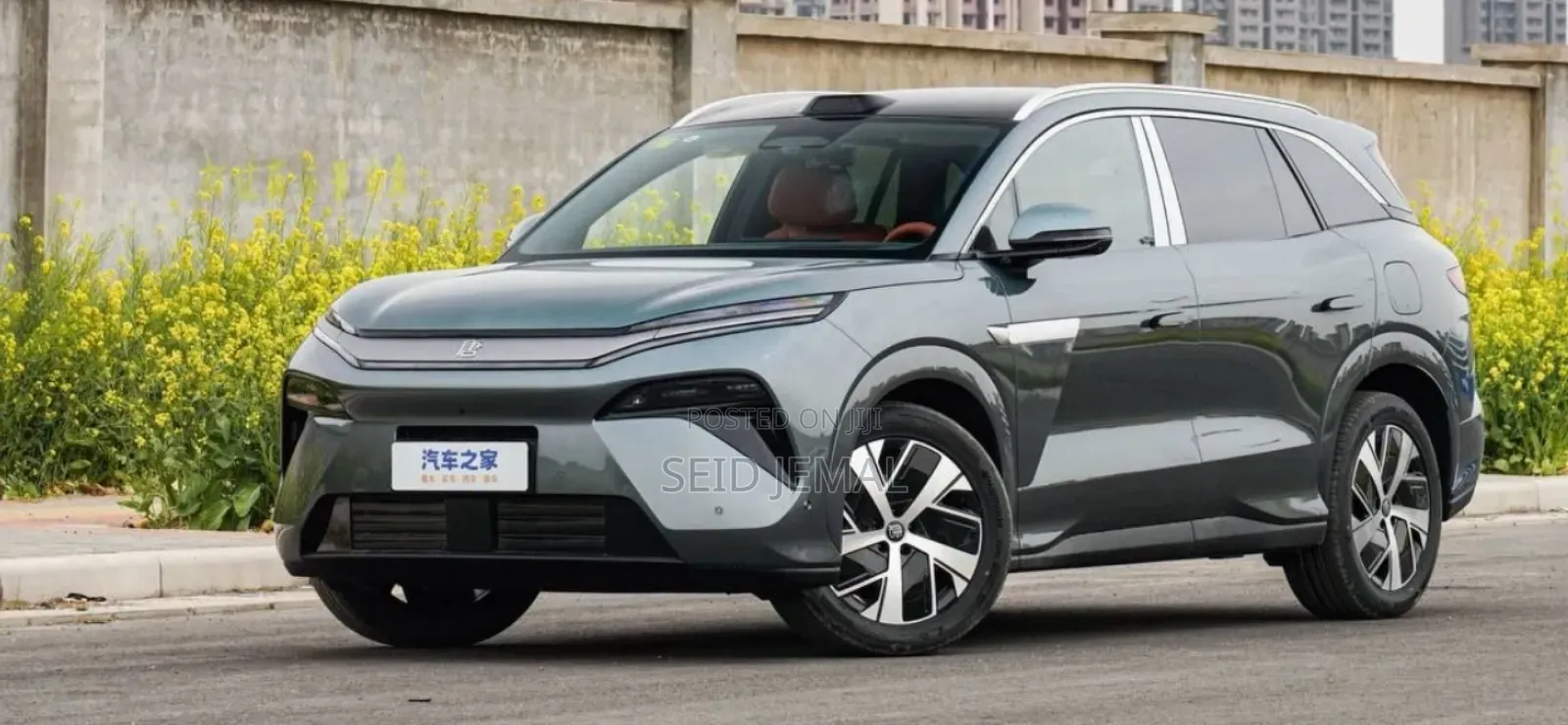 New BYD Tang EV 2025 Gray