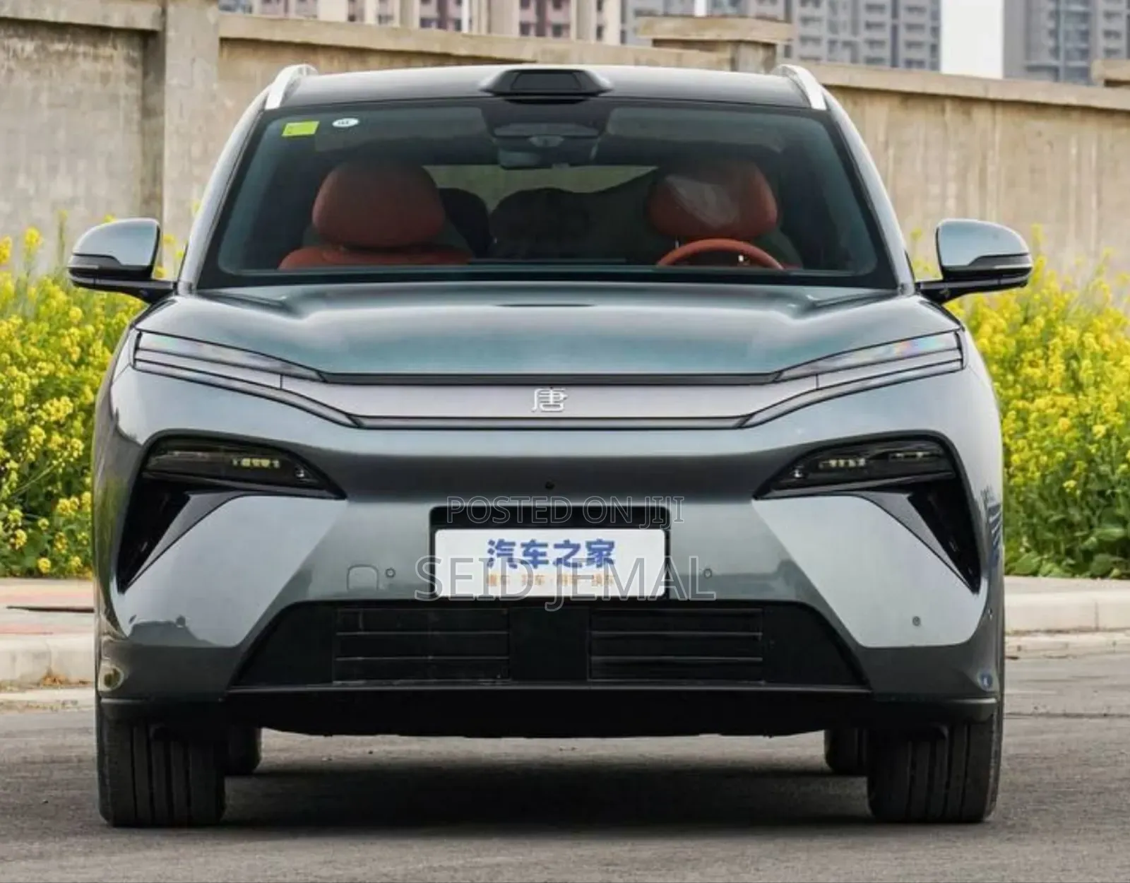 New BYD Tang EV 2025 Gray