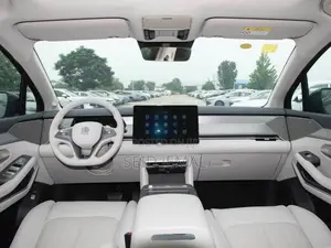 New BYD Tang EV 2025 Gray