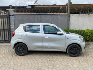 Suzuki Celerio 2022 Silver