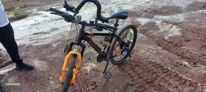 Photo - 26 Pink Bick