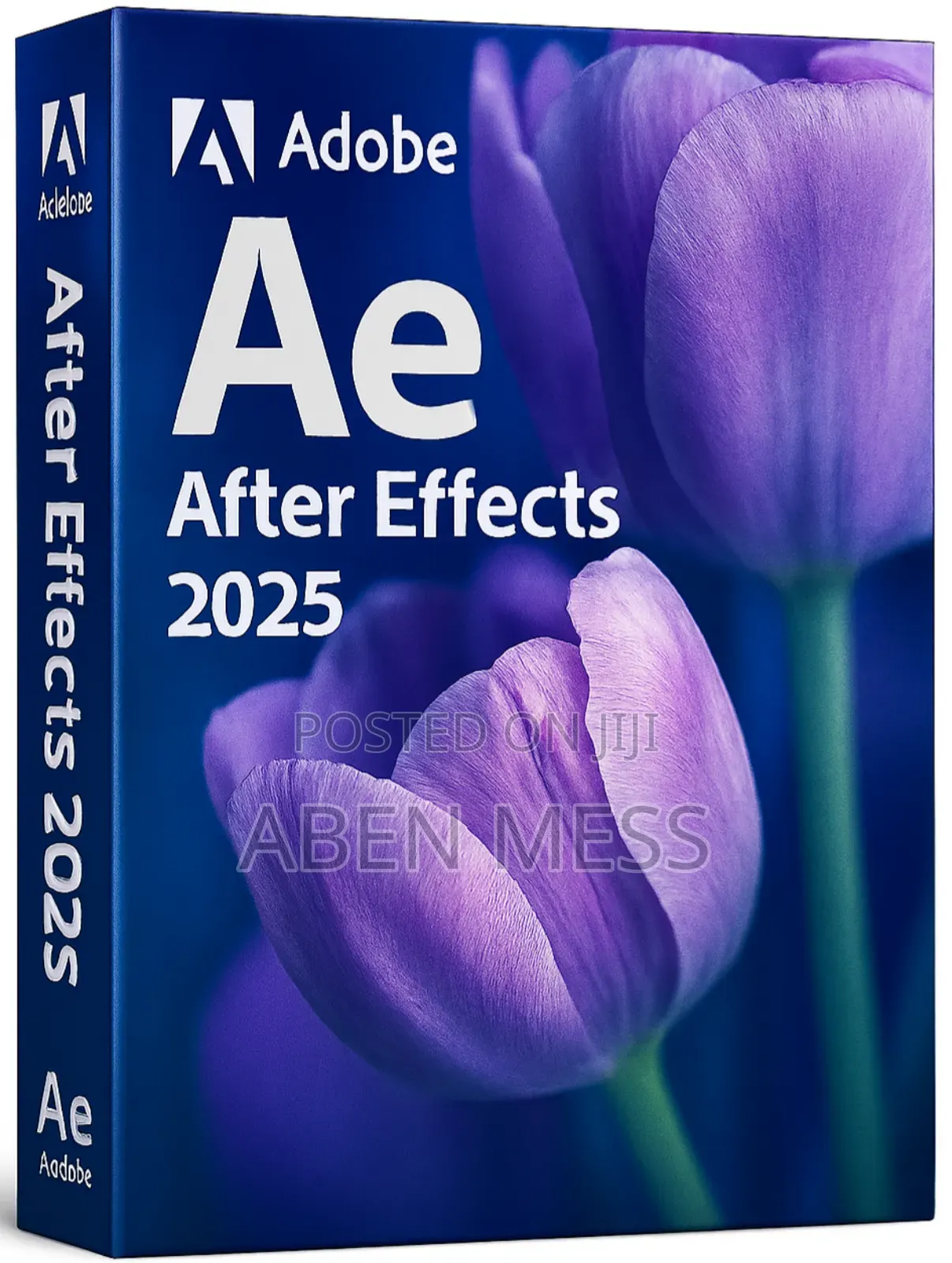 Adobe After Effects 2025