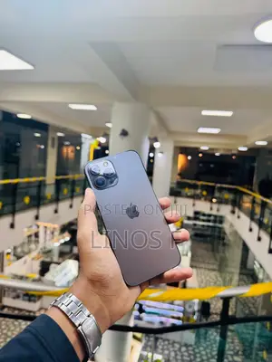 Apple iPhone 12 Pro Max 128 GB Gray