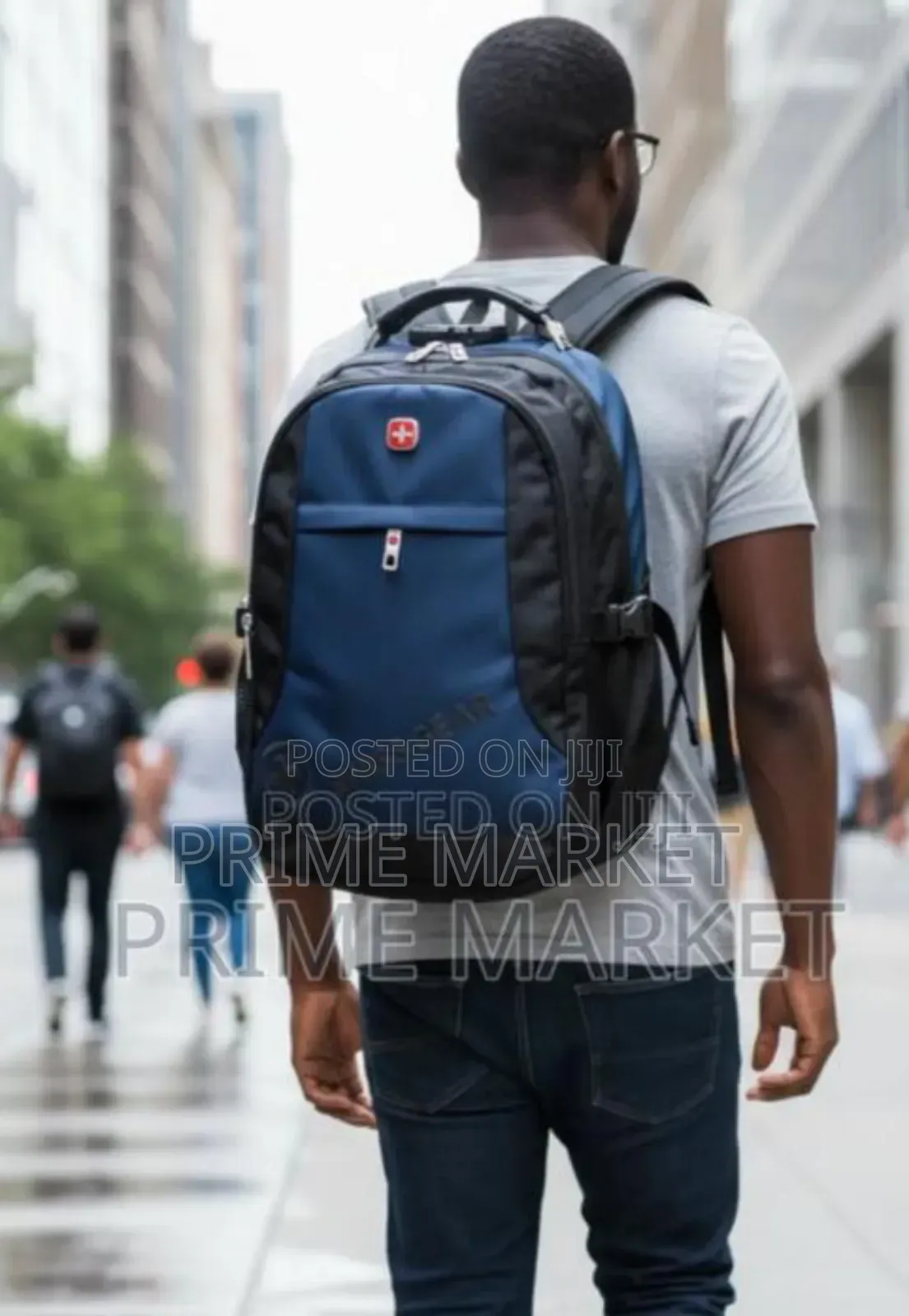 Swissgear Backpack Casual Bag For School, College, And Traveling