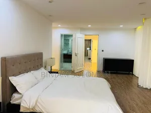 Furnished 3bdrm Duplex in Bole for rent