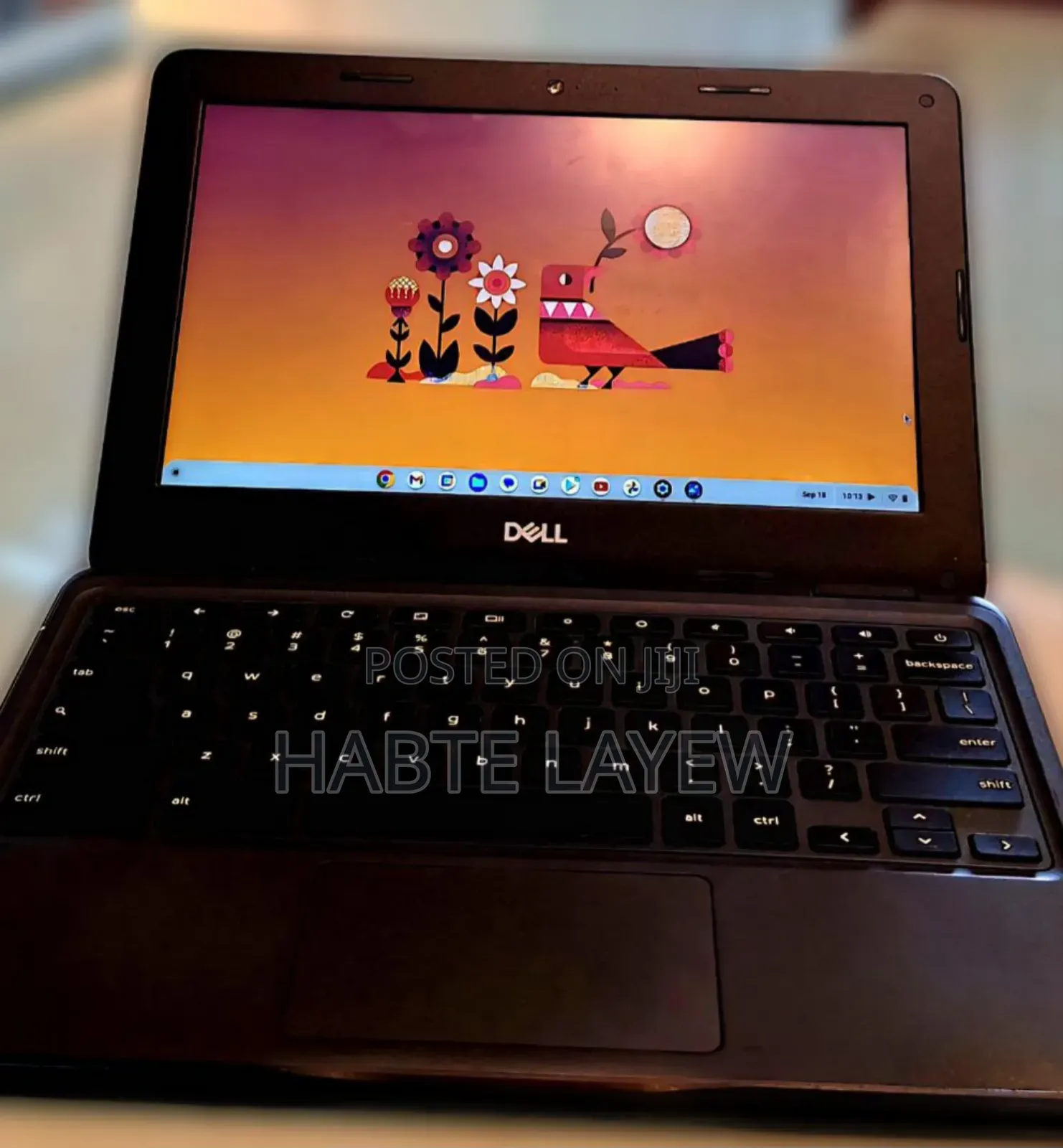New Laptop Dell Chromebook 11 4GB Intel Celeron SSD 32GB