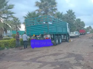 Cinotruck. 2023 Model.