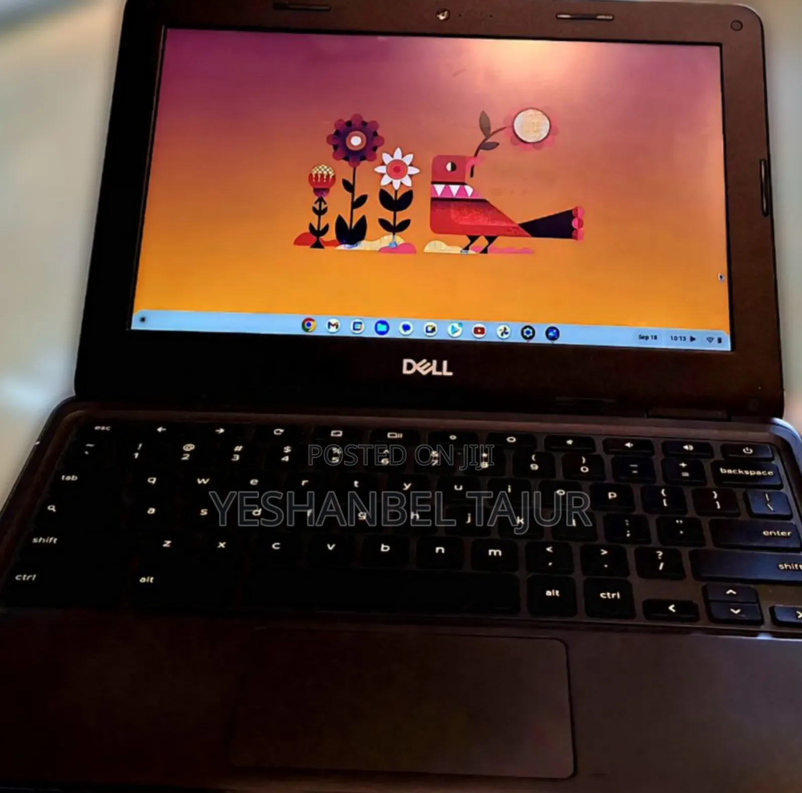 New Laptop Dell Chromebook 11 4GB Intel Celeron SSD 32GB