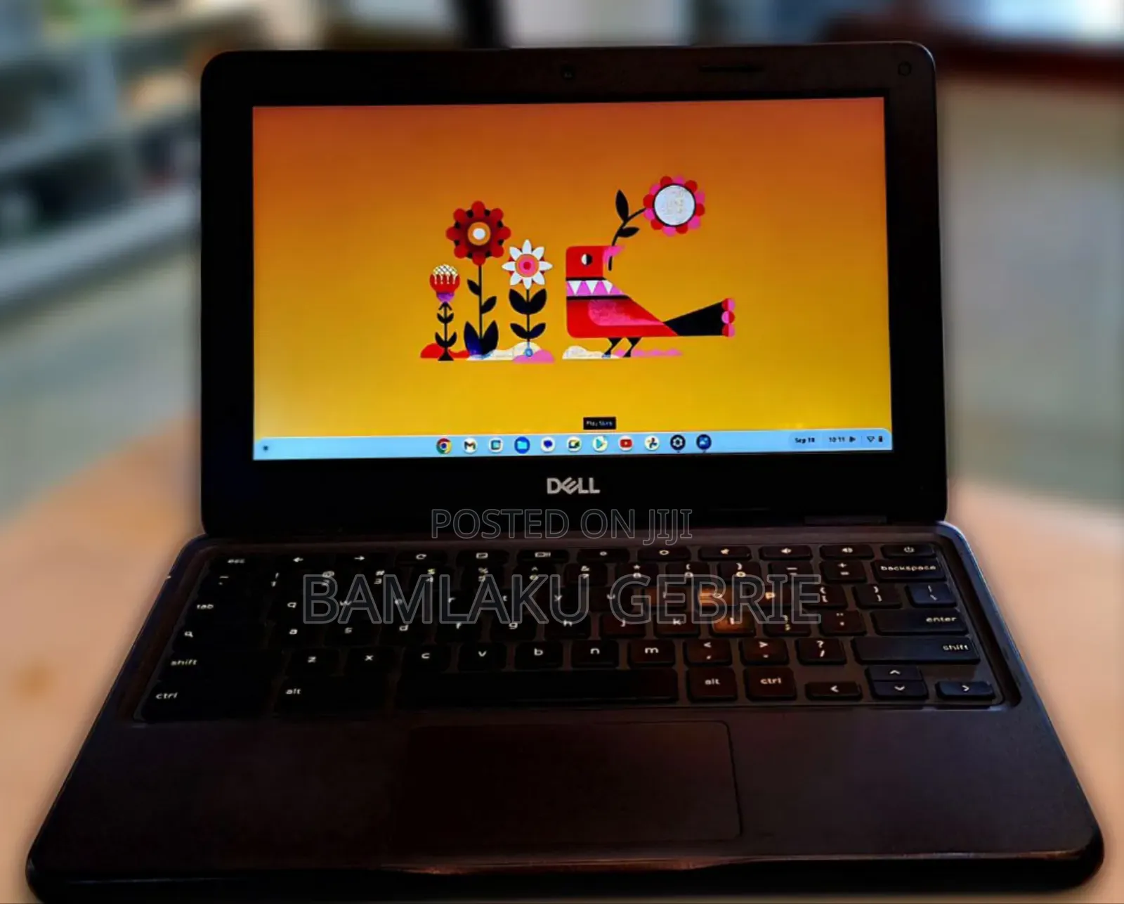 New Laptop Dell Chromebook 3100 4GB Intel Celeron SSD 32GB