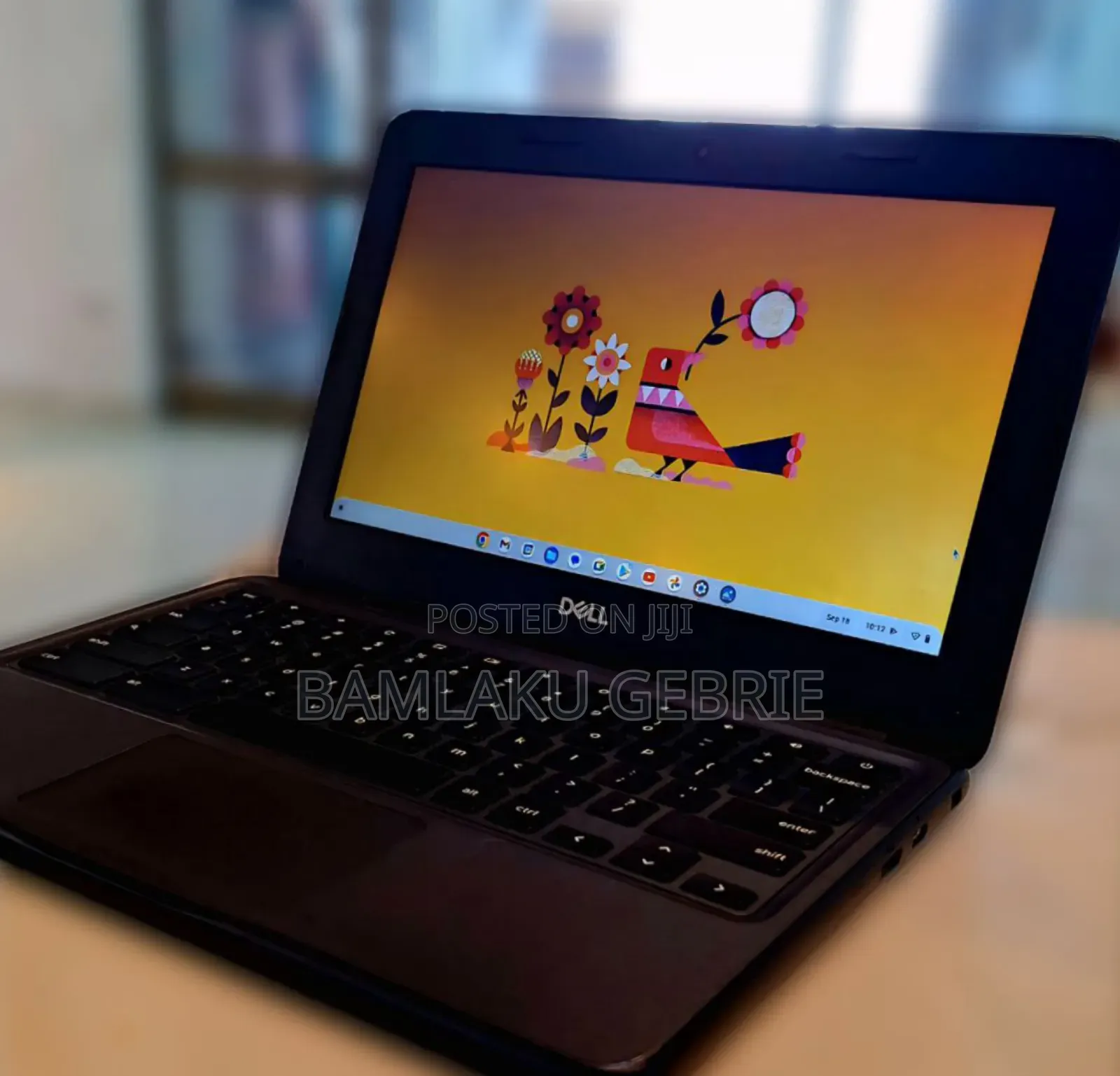 New Laptop Dell Chromebook 3100 4GB Intel Celeron SSD 32GB