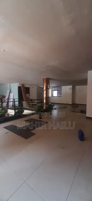 ግራውንድ ላይ ነው