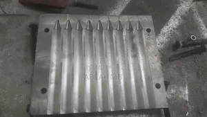 Shama ሻማ ሞልድ