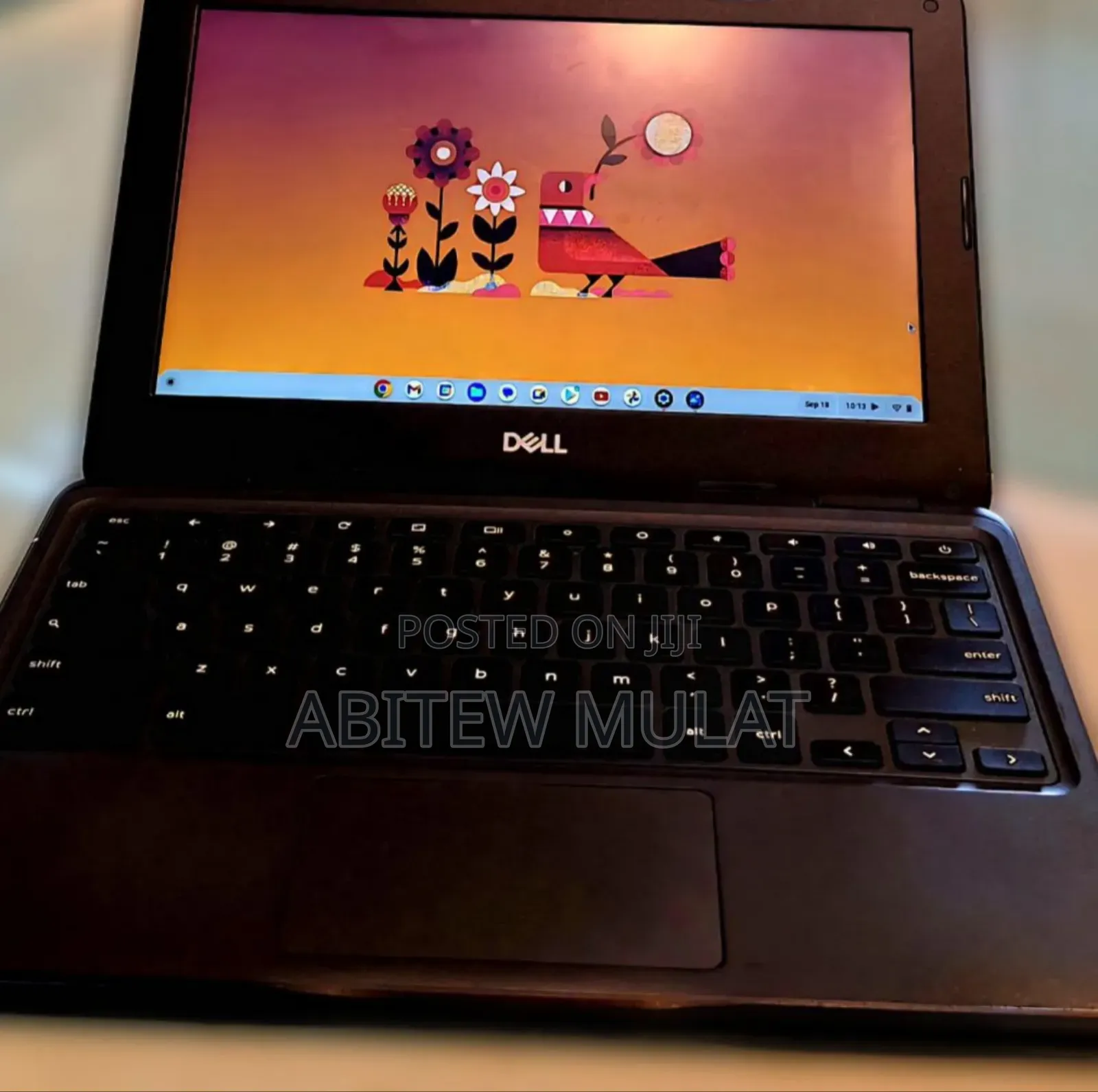 New Laptop Dell Chromebook 13 4GB Intel Celeron SSD 32GB