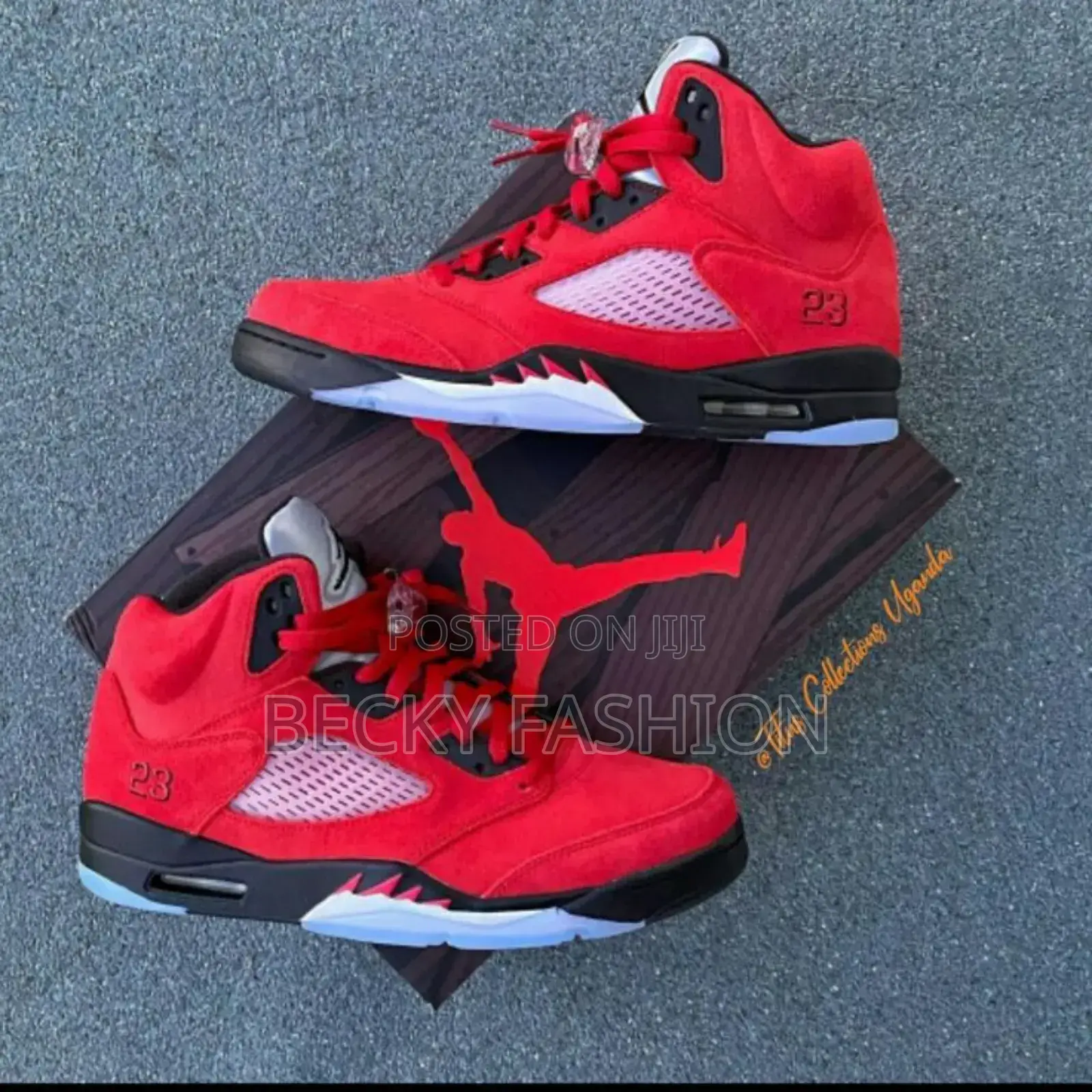 Jordan 6 Shoes