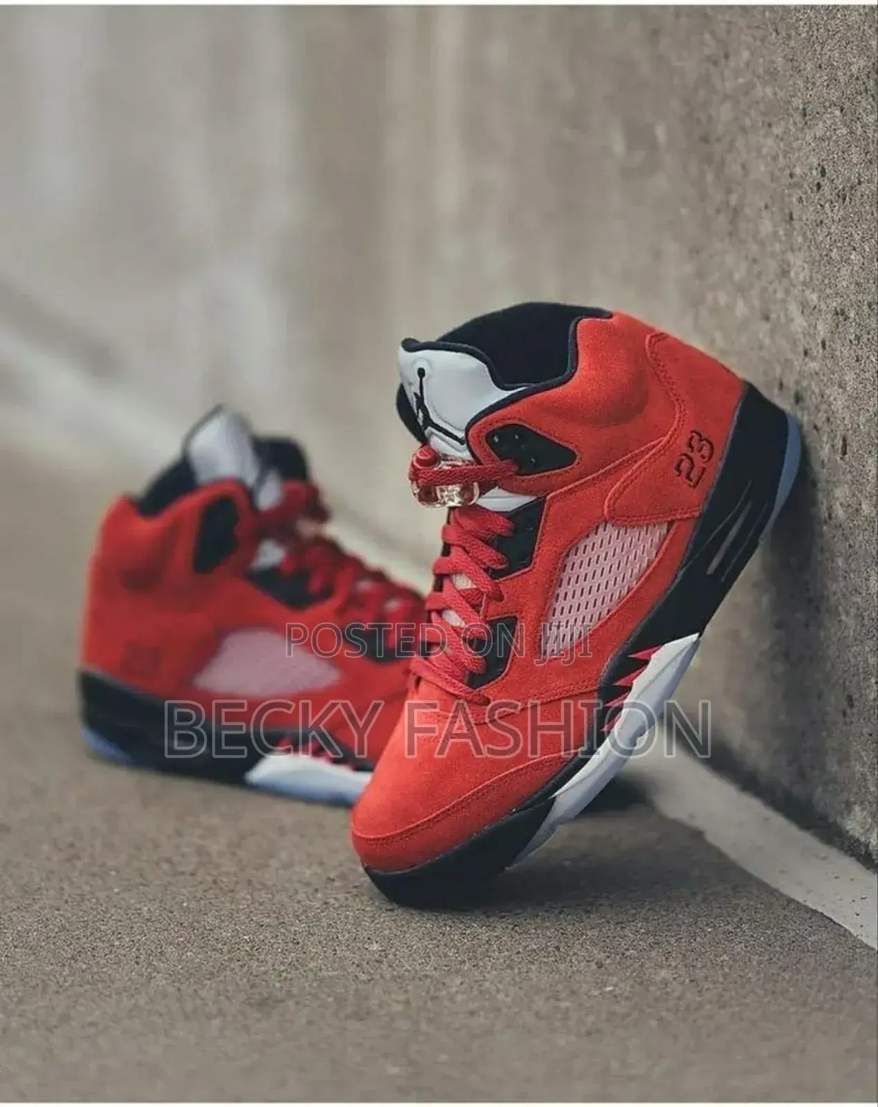 Jordan 6 Shoes