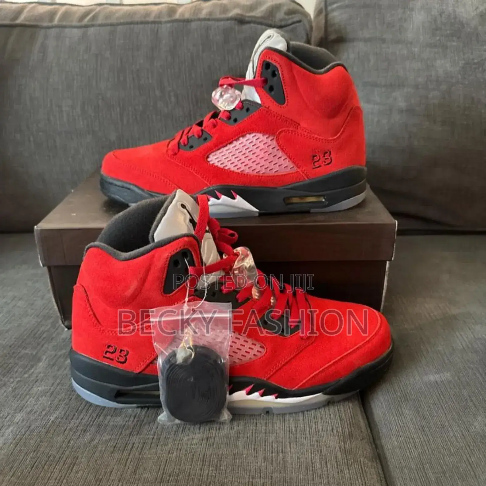 Jordan 6 Shoes