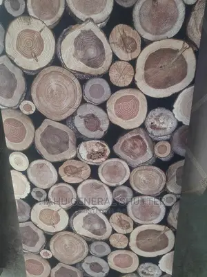 የቤት እና የቢሮ ስቲከር ስራዎች ( Home and Office Sticker and Wallpaper