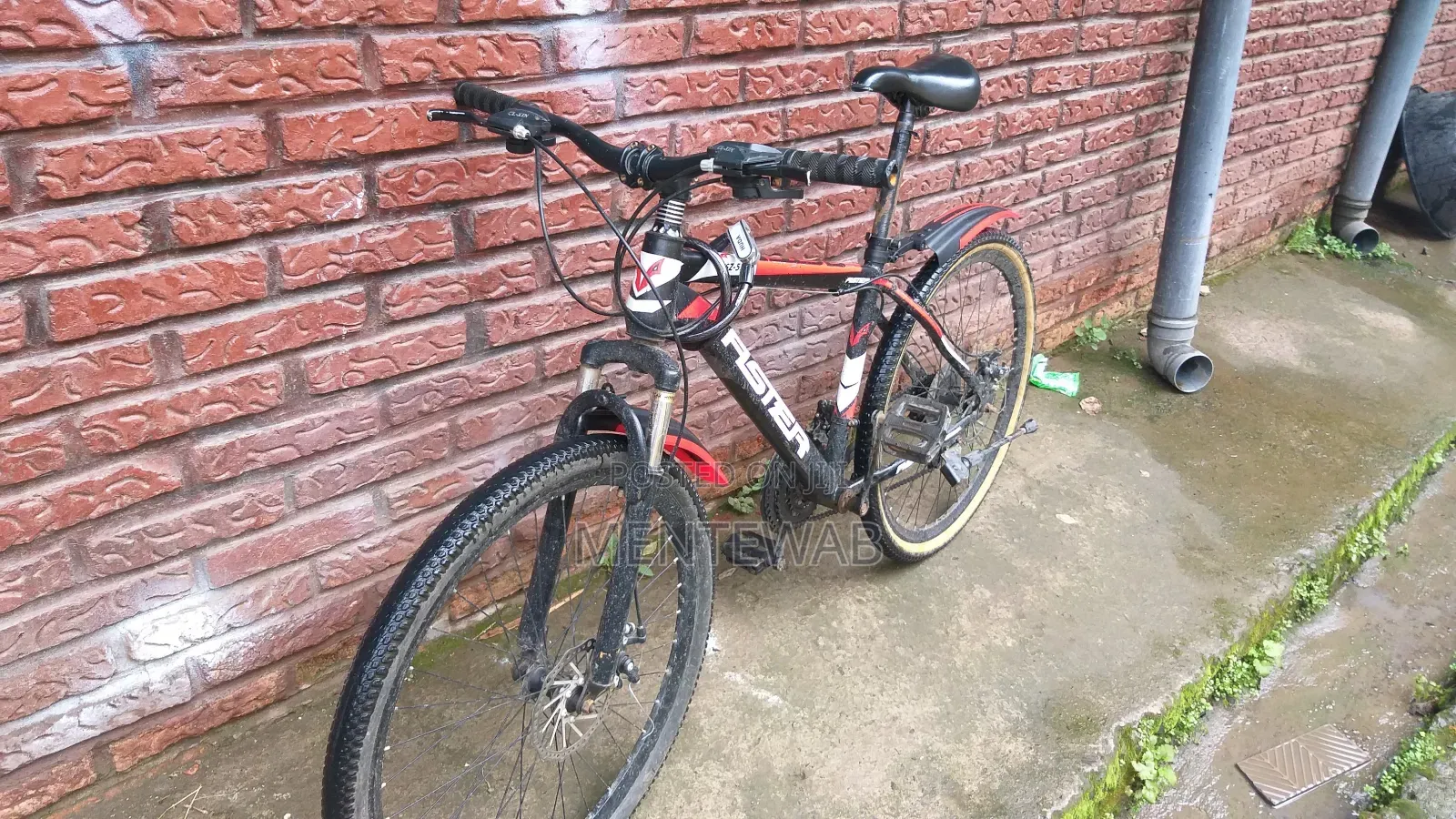 Bicycle ሳይክል