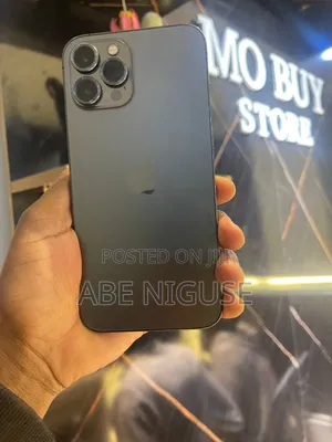 Apple iPhone 12 Pro Max 256 GB Gray