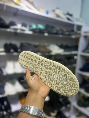 Photo - Cat(First Quality)