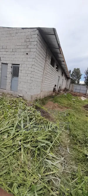 Photo - አስቸካይ የሚሸጥ ቤት