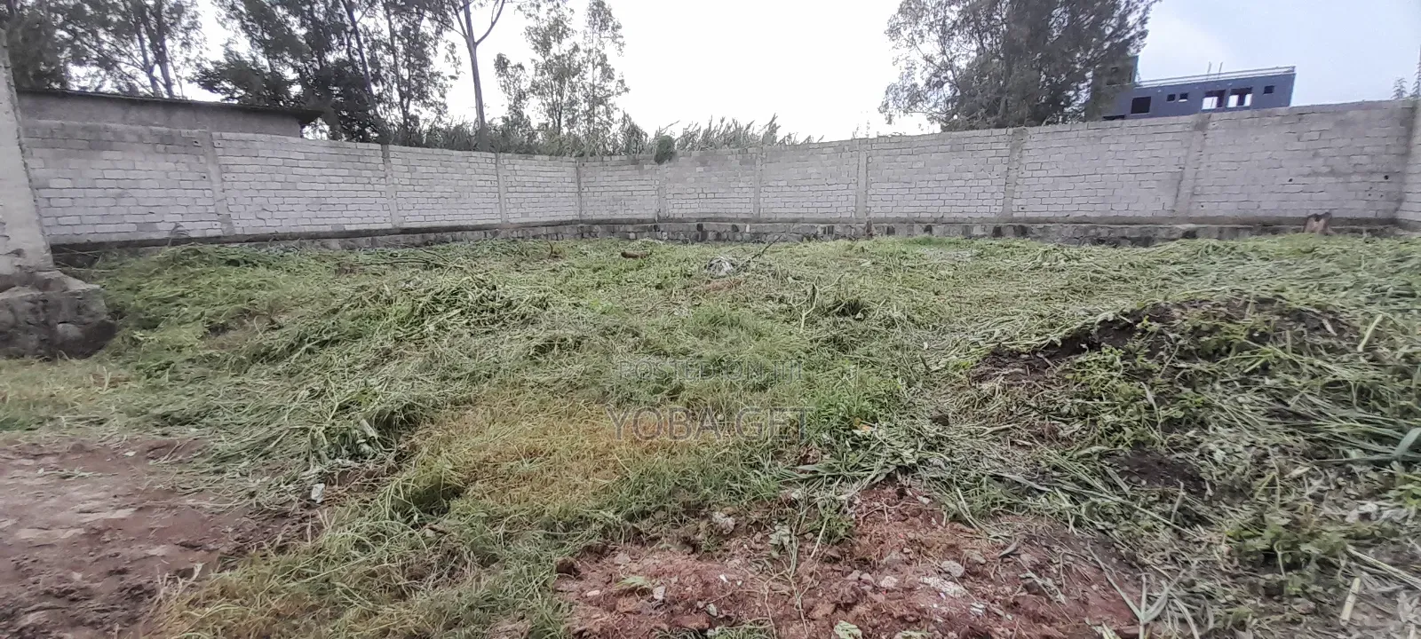 አስቸካይ የሚሸጥ ቤት