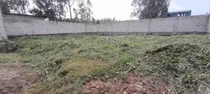 አስቸካይ የሚሸጥ ቤት