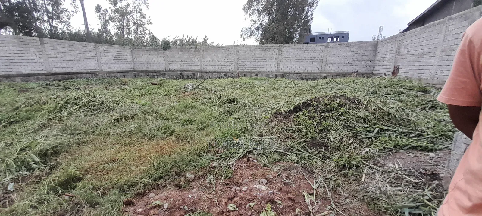 አስቸካይ የሚሸጥ ቤት