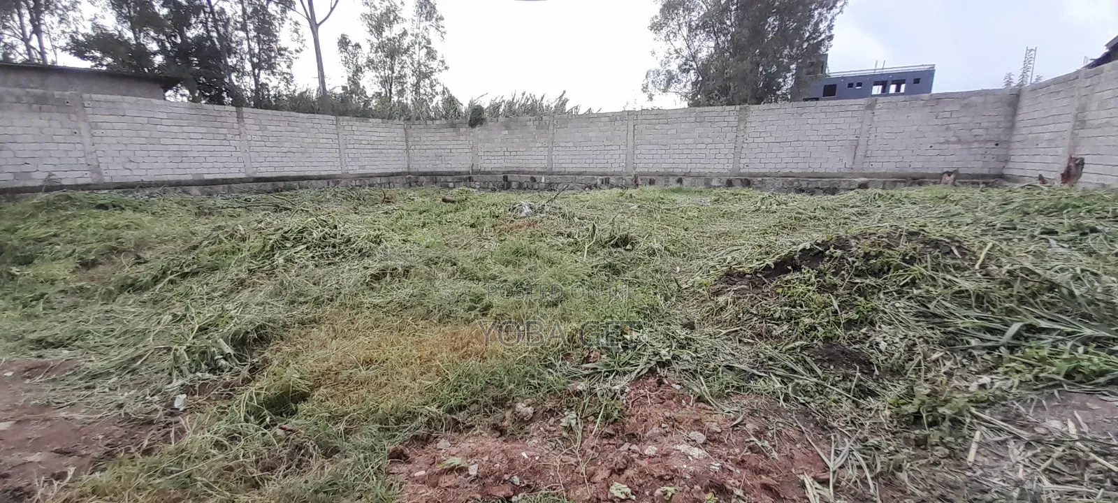 አስቸካይ የሚሸጥ ቤት