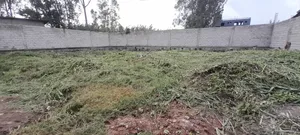 አስቸካይ የሚሸጥ ቤት