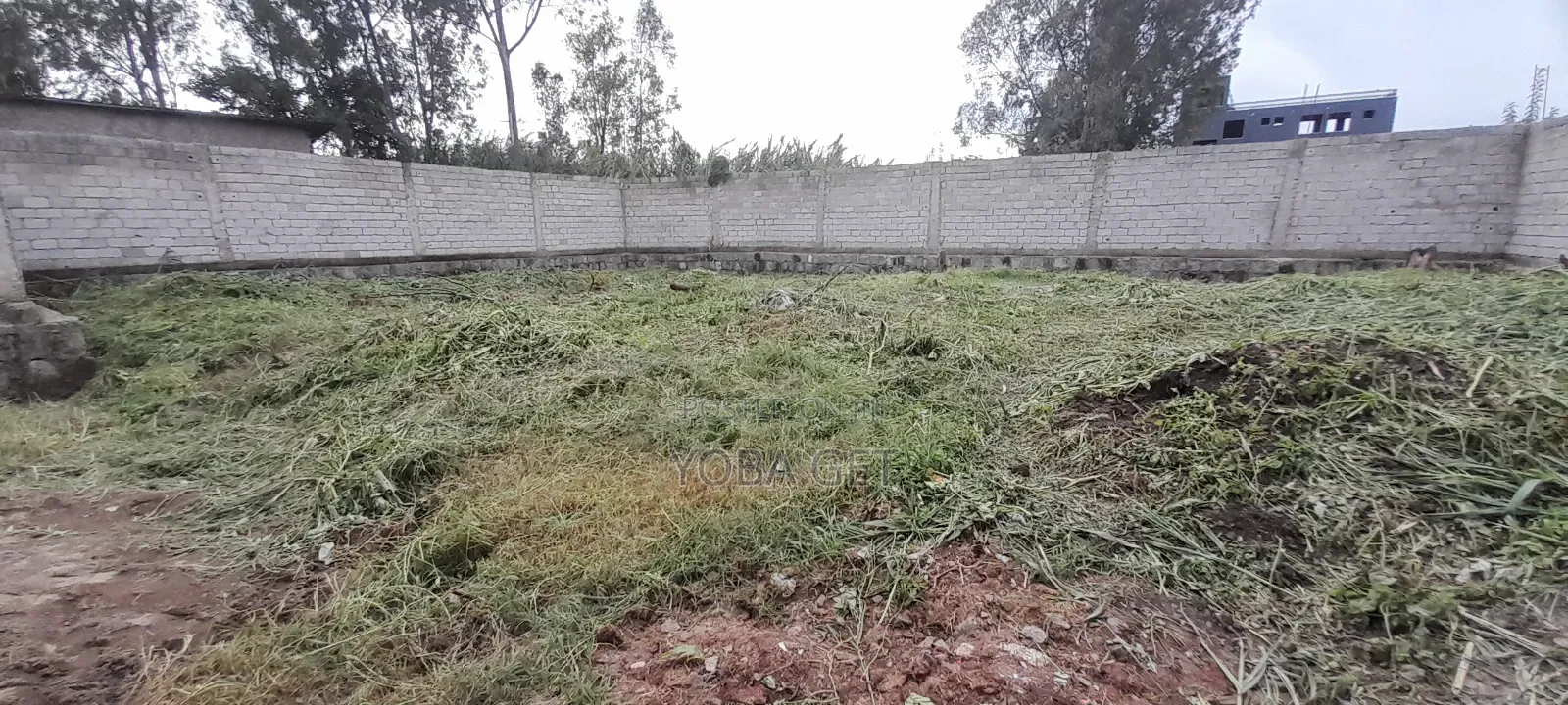 አስቸካይ የሚሸጥ ቤት